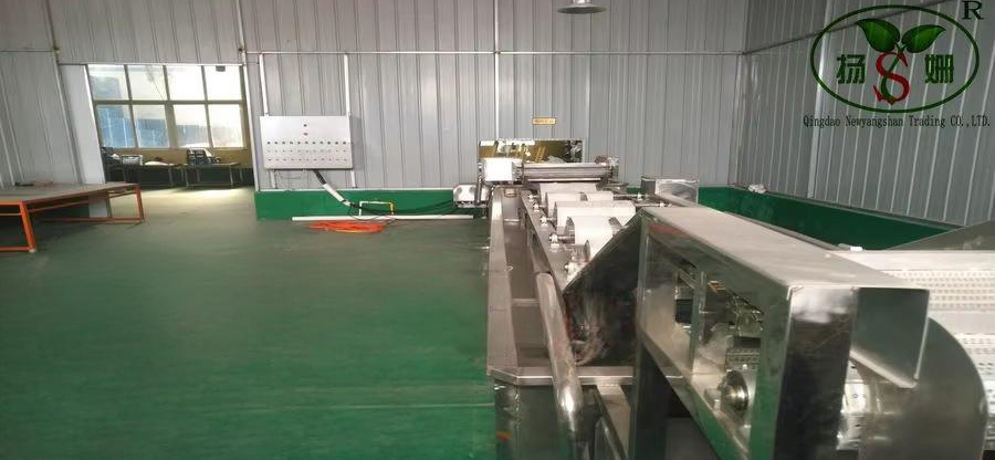 Canned food factory production line processing demonstration