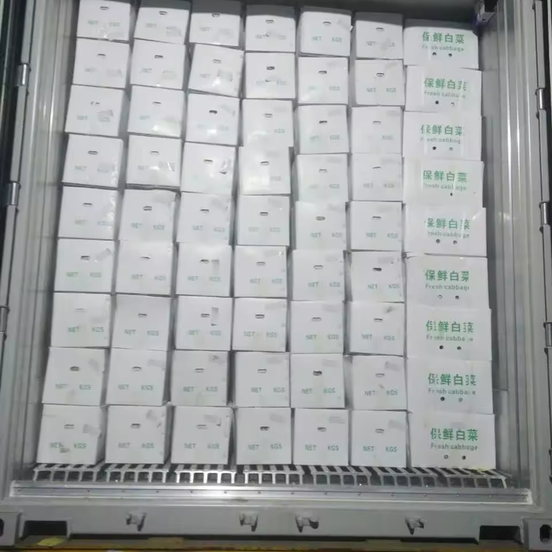Fresh Green Cabbage And Mashed Potato Bags, High Quality at Competitive Prices