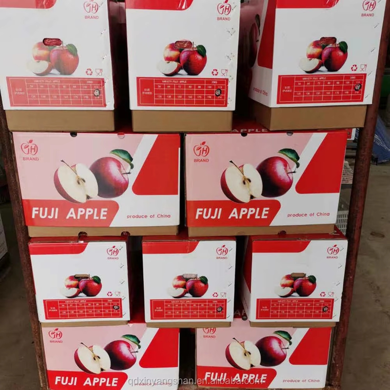 High-quality Fresh Chinese Apples at The Best Wholesale Prices
