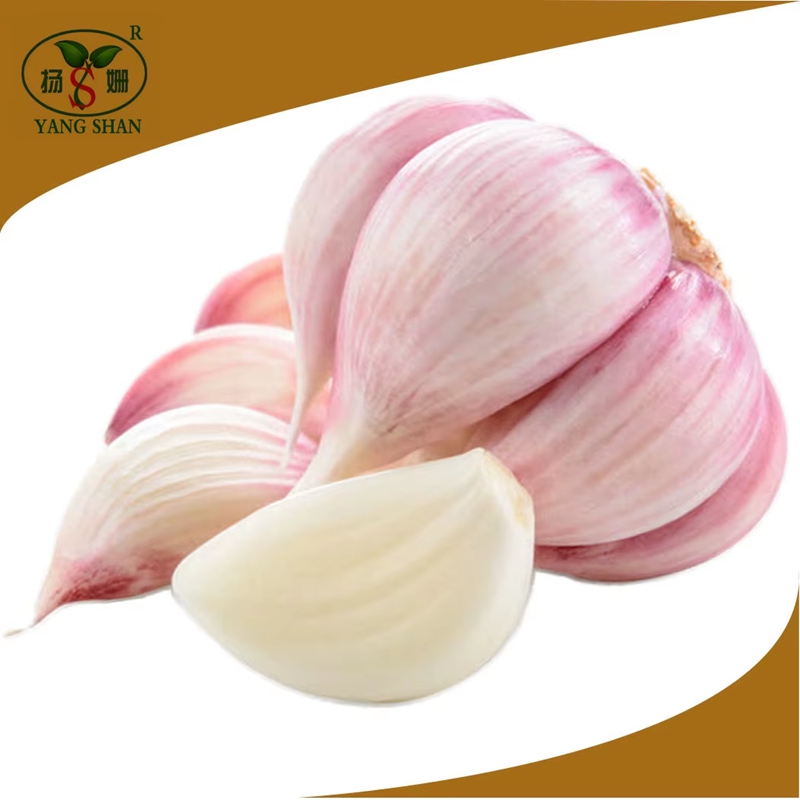 Combine 4-6 Cloves of Garlic
