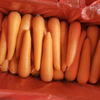 Professional Exporter of Yellow Carrots, Offering Cardboard Box Packaging in 10kg And 8kg Size