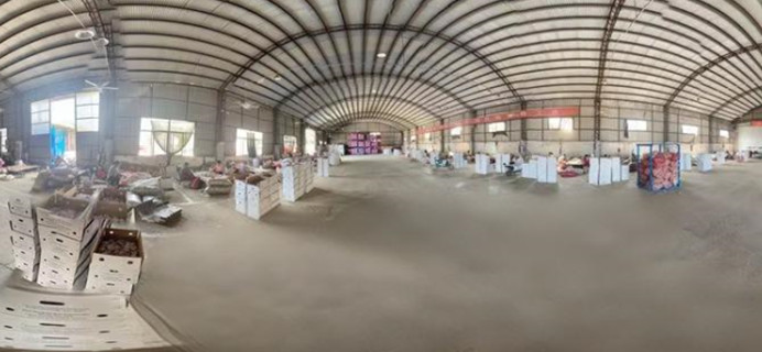 Vegetable Factory Packaging Workshop Demonstration