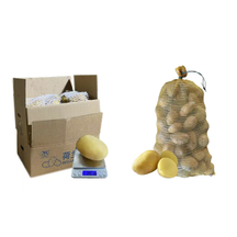 Potato