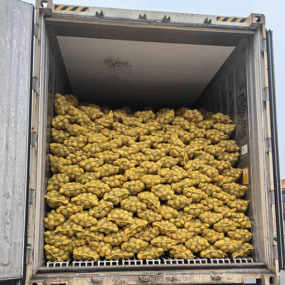 Latest Crop of Yellow Sweet Potatoes, Low-priced, Professional Export Wholesaler of Fresh Sweet Potatoes