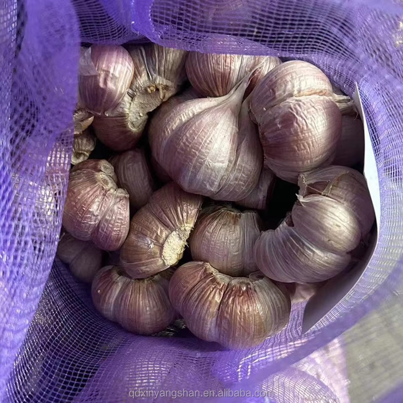 Combine 4-6 Cloves of Garlic