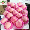 High-quality Fresh Chinese Apples at The Best Wholesale Prices