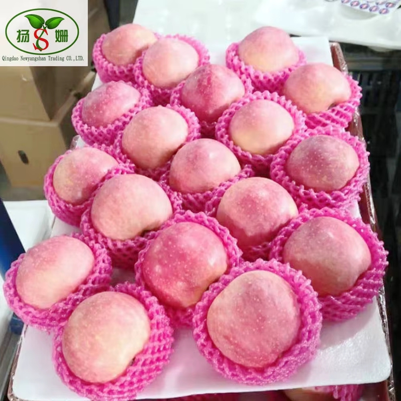 High-quality Fresh Chinese Apples at The Best Wholesale Prices