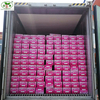 Professional Exporter of Yellow Carrots, Offering Cardboard Box Packaging in 10kg And 8kg Size