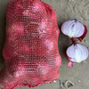 High-quality Fresh Chinese Red Onions for Export, Available at Wholesale Prices