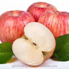 High-quality Fresh Chinese Apples at The Best Wholesale Prices