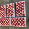 High-quality Fresh Chinese Apples at The Best Wholesale Prices