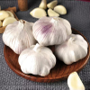 Combine 4-6 Cloves of Garlic