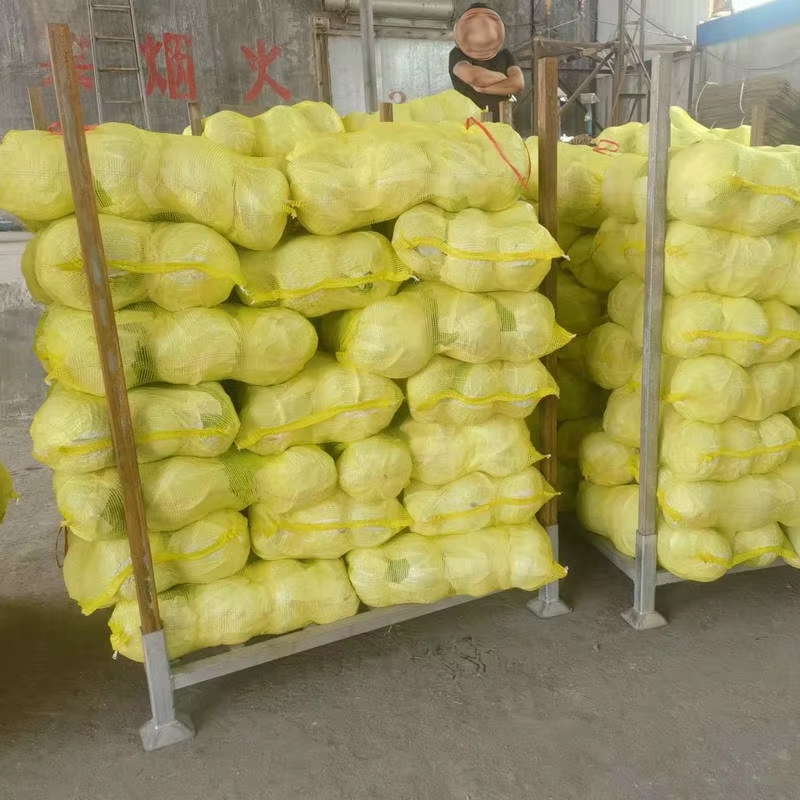 Factory Price, Fresh Cabbage, Supermarket Quality