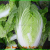 Fresh Green Cabbage And Mashed Potato Bags, High Quality at Competitive Prices